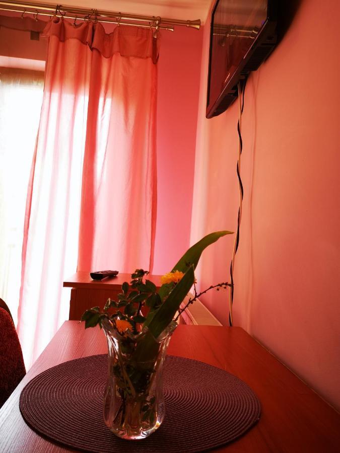 Agroturystyka W Dolinie Narwi Ломжа Экстерьер фото